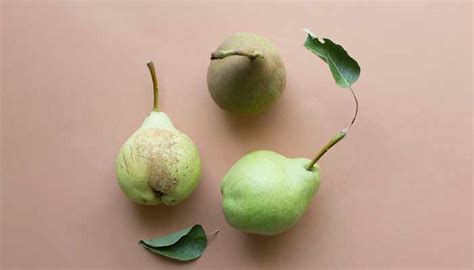 珠海启德雅思外教口语VIP班