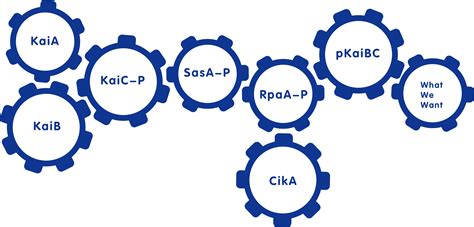 珠海启德雅思提高精品班