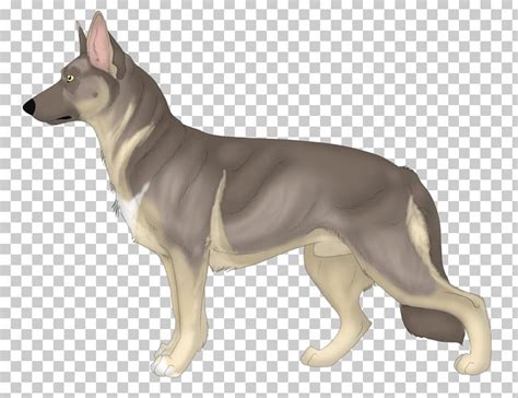 昆明全日制德语学习班