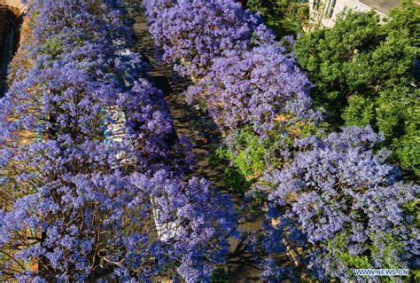 昆明西班牙语培训班（初中高级）