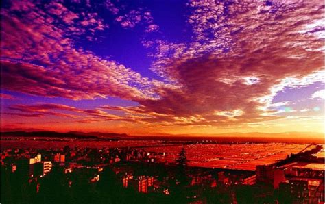 昆明全日制缅甸语培训