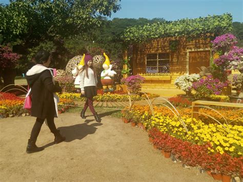 深圳启德秋季培训班