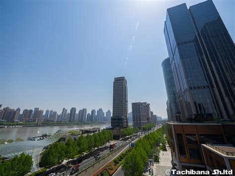 上海国际预科课程