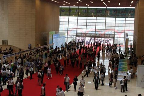 广州篮球特训营