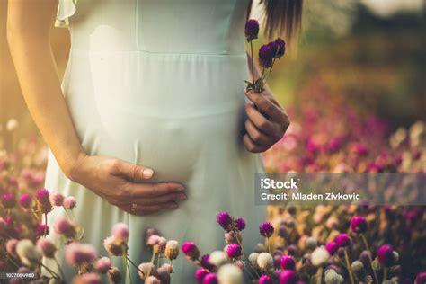 西安生命的绽放课程