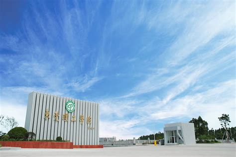 东莞美发师培训机构