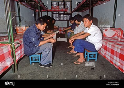 成都青少年心理辅导