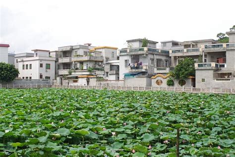 广州千源催乳师培训