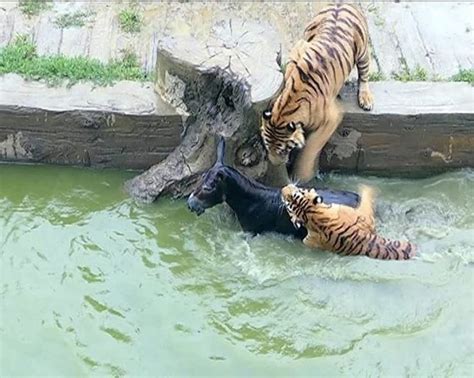 常州西班牙语学习培训班