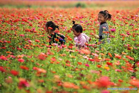 常州西班牙语培训班