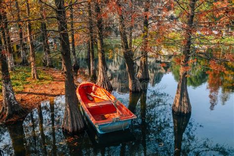 宁波朗阁教育秋季课程