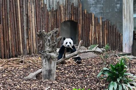 成都德语留学培训