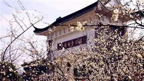 广州朗阁托福寒假班