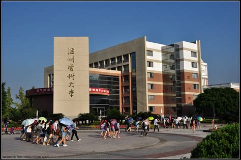 温州aeas培训