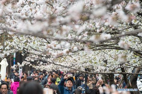 南京朗阁雅思春季班