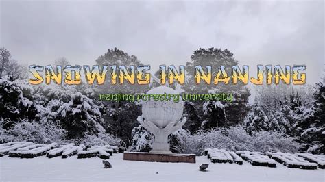 南京朗阁教育寒假课程