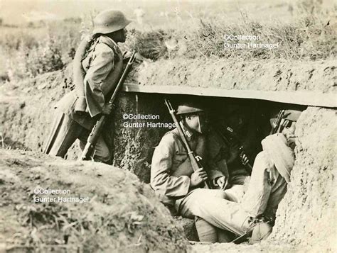 南京朗阁ap课培训