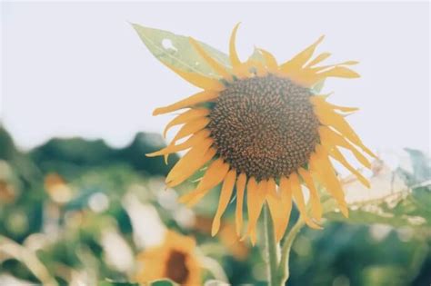 苏州日语暑假N5-N4精品班