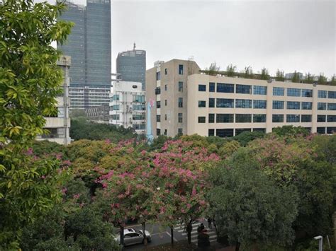 深圳青少年心理辅导