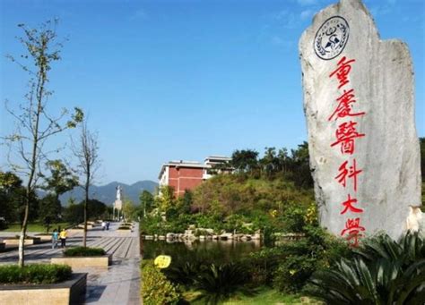 重庆sat培训机构