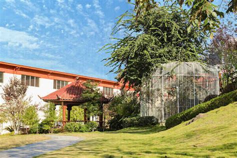 重庆雅思培训学院哪家好