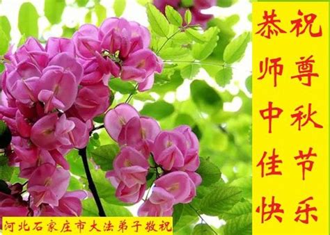 石家庄新航道秋季培训学校
