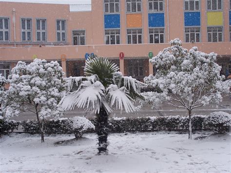 上海环球托福寒假班