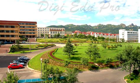 青岛大学英语培训班