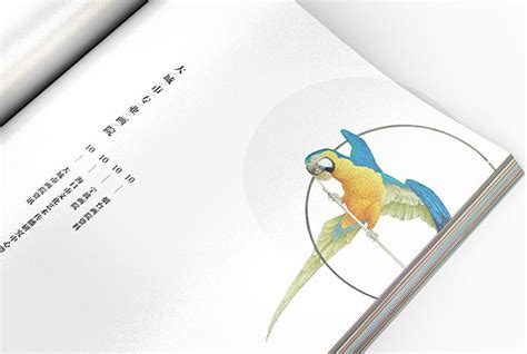 成都原画设计培训班