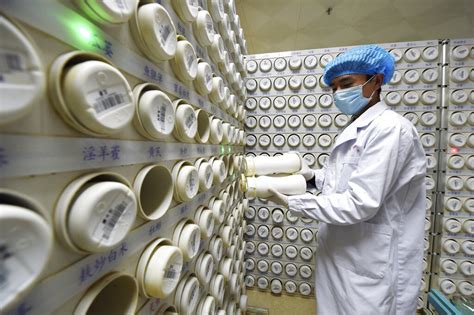 中医执业药师培训