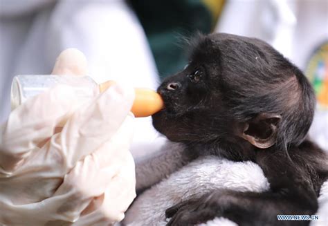 广州西班牙语初级培训班