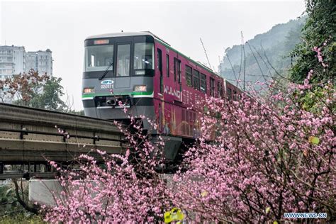 重庆西班牙语辅导班