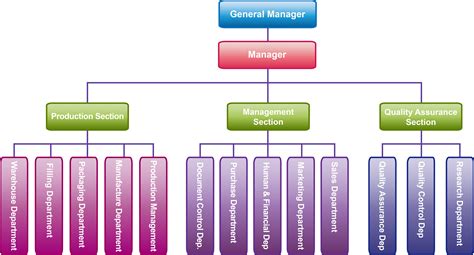 皮肤管理培训机构