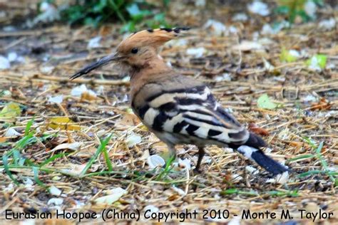 天津韩语Topik4春季班
