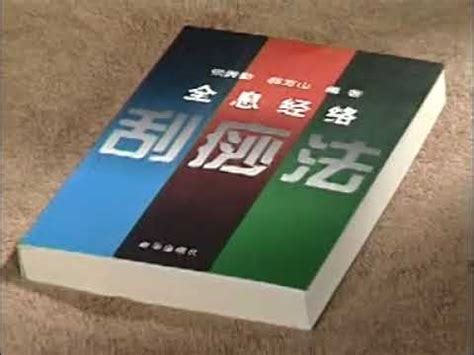 尚艺全息身体经络理疗班