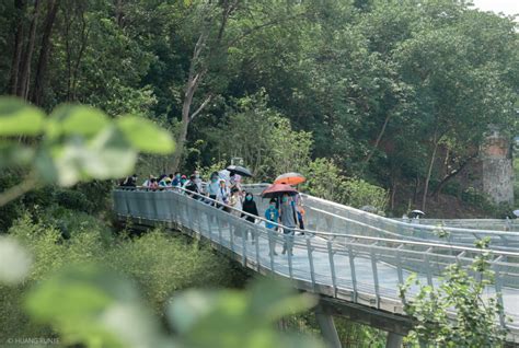 广州尚艺股权配制培训课程