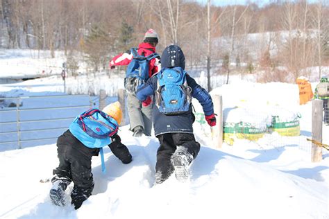 寒假青少年“勇闯极地岛”滑雪冬令营