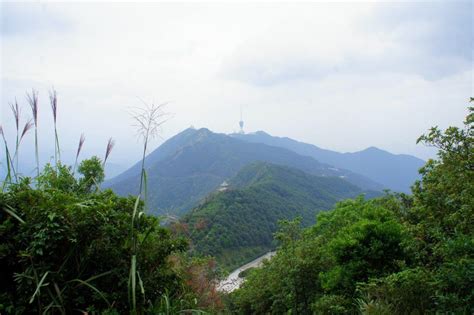 深圳托福攀峰100分班（VIP班）