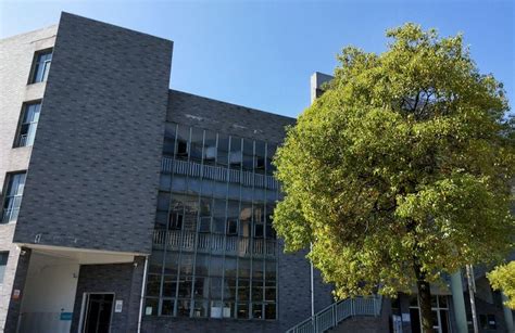 北师大株洲附属学校国际部招生简章