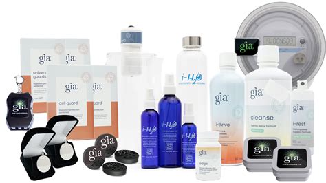 美中国际爱智学校（GIA）招生信息