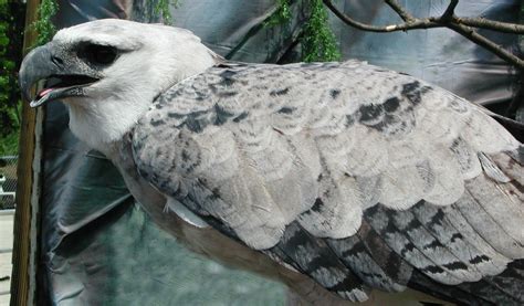 哈比桥治幼儿园招生信息