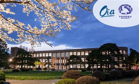 上海应用技术大学国际教育中心学士桥（日本）招生信息