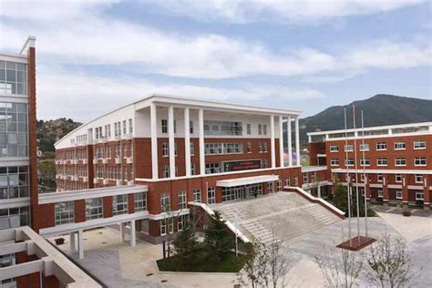 青岛中学招生信息