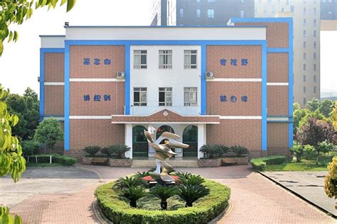 成都美视国际学校招生简章