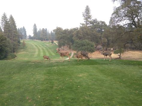 曼彻斯通松山湖书院招生信息