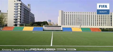 上海田家炳中学国际部招生信息
