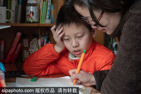 上海诺科学校招生信息