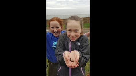 门诺莱特中学课程设置