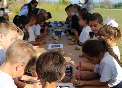 格雷戈里学校课程设置