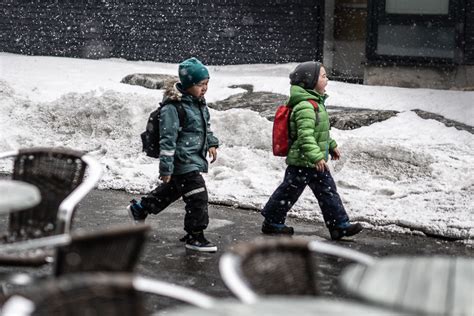 绿地学校课程设置